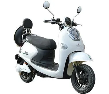 48v Electric Scooter