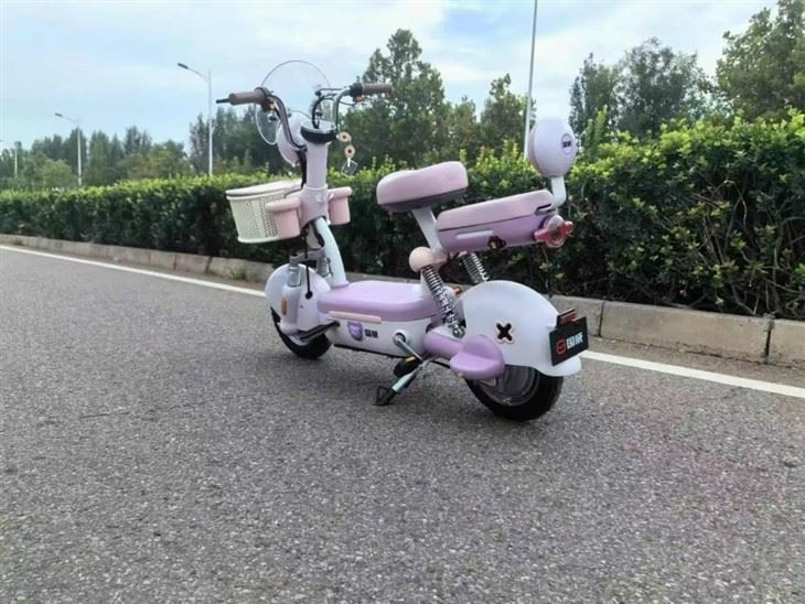 2 Wheel Moped Electric Motorcycle Adult Electric Motorcycle Scooter suppliers