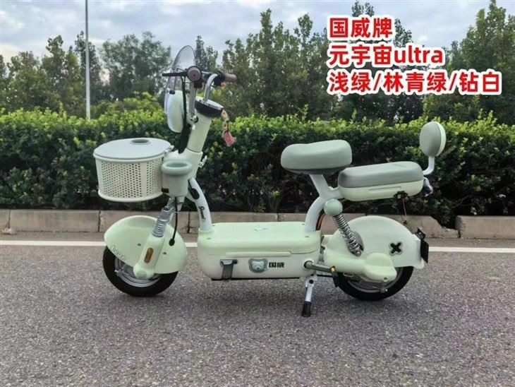 2 Wheel Moped Electric Motorcycle Adult Electric Motorcycle Scooter best