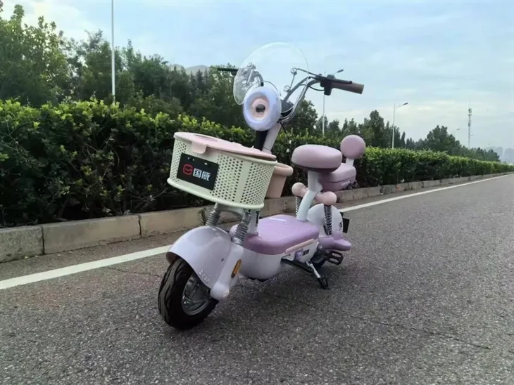 2 Wheel Moped Electric Motorcycle Adult Electric Motorcycle Scooter