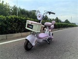 2 Wheel Moped Electric Motorcycle Adult Electric Motorcycle Scooter