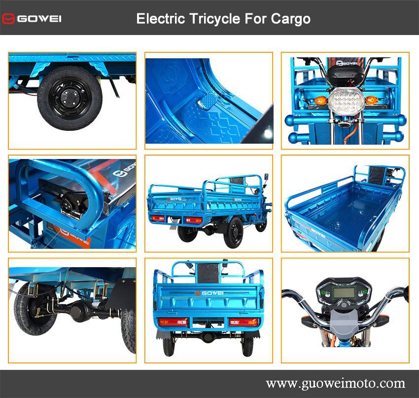 Cargo Tricycle