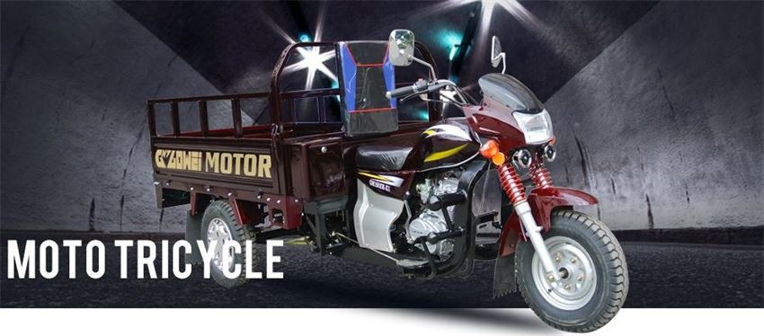 Electric Tricycle