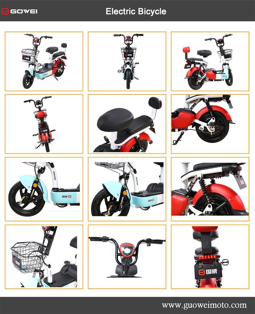 Adult Electric Bicycles