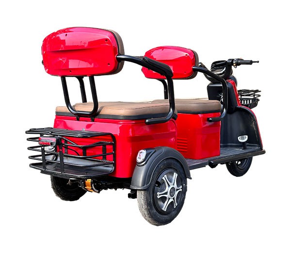 Electric Mobility Trike