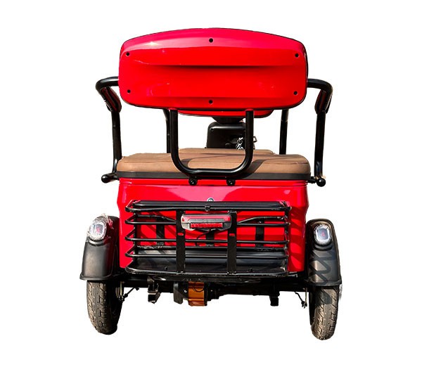 Electric Mobility Trike
