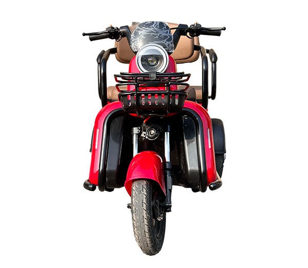 Electric Mobility Trike