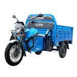 2025 New EEC Cargo Tricycle Electric Easy Electric Tricycle Ambulance Tricycle