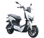 300W-2000W Electric Scooter With Low Price
