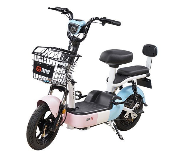 48V 20Ah EBike