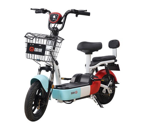 48V 20Ah EBike