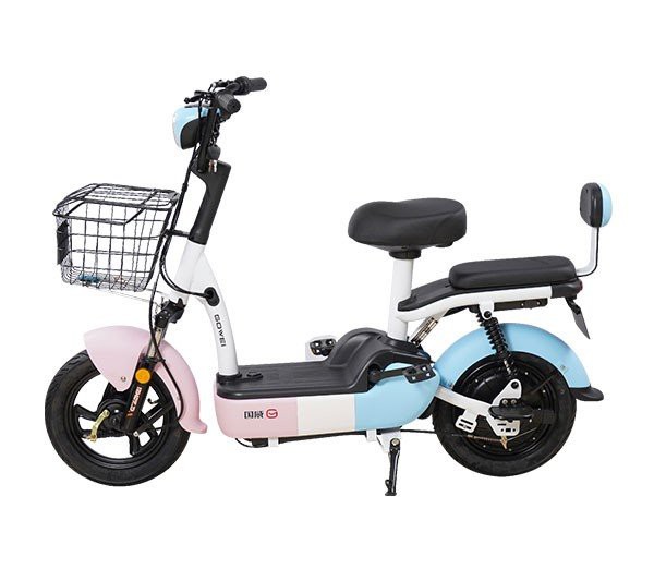 48V 20Ah EBike