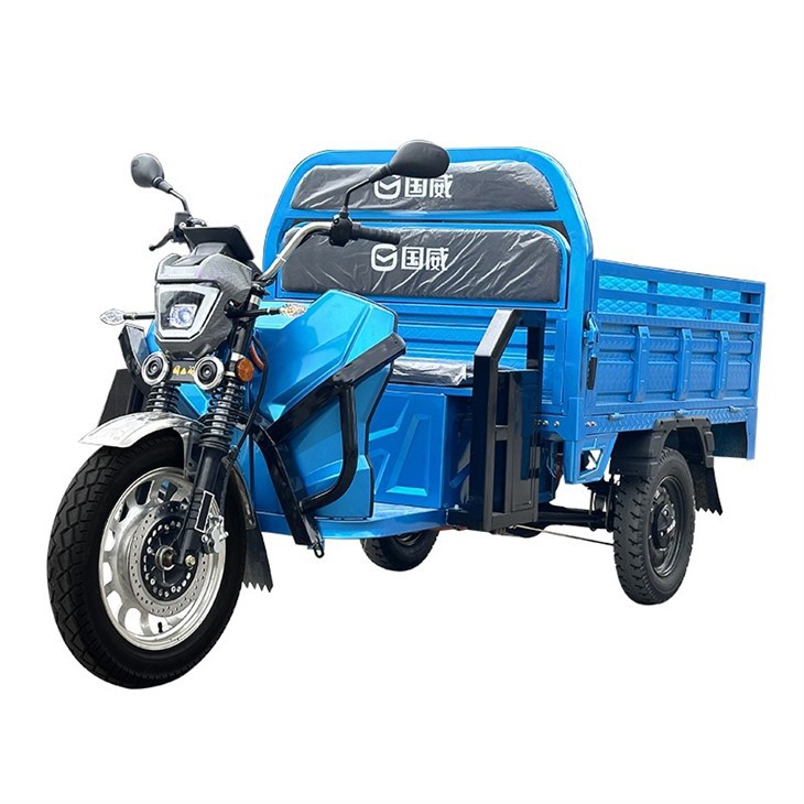 Factory Direct Highly Efficient Electric Tricycle Electric 3 Wheels Tricycle Electric Tricycle Cargo