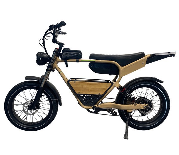 Electric City Bikes