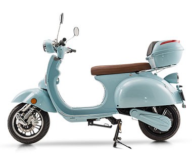 Adult E-Scooter