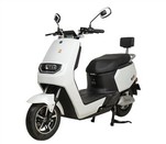Adult Electric Motorcycle
