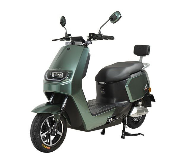 Adult Electric Motorcycle