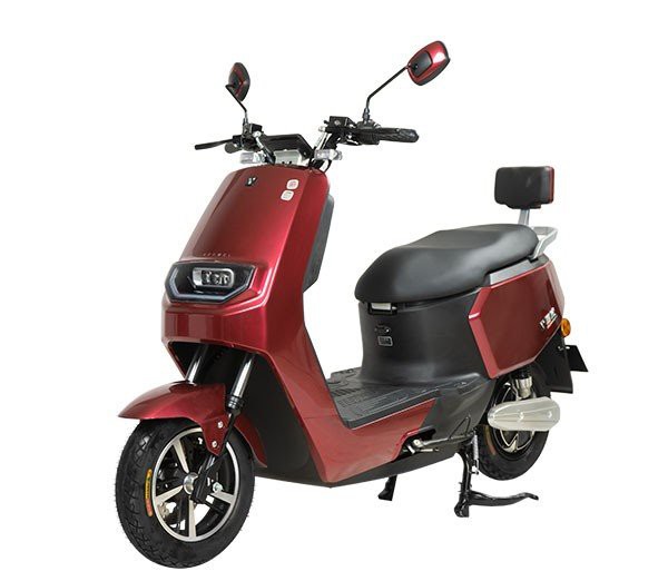 Adult Electric Motorcycle