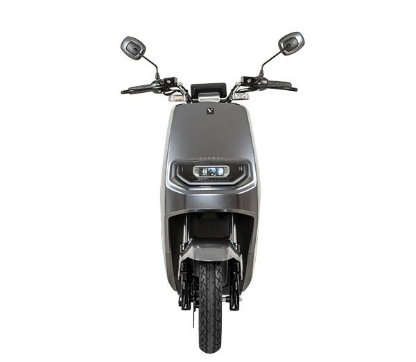 Adult Electric Motorcycle