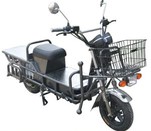Battery Electric Bike for Adults