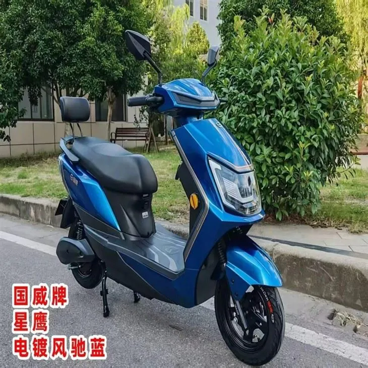 Cheap Scooter 50km Long Range 800W Adult Electric ,Motorcycle Scooter best