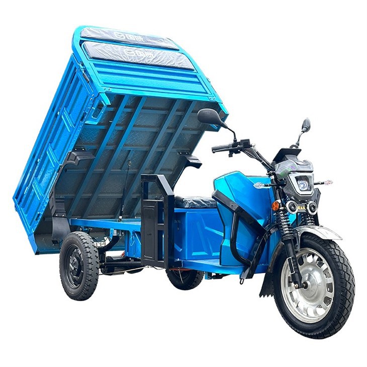 Factory Direct Highly Efficient Electric Tricycle Electric 3 Wheels Tricycle Electric Tricycle Cargo