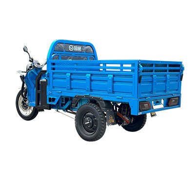 EEC Electric Cargo Trike