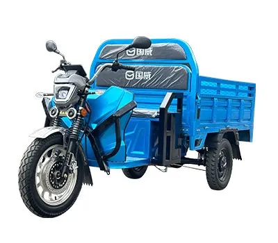 EEC Electric Cargo Trike
