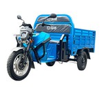EEC Electric Cargo Trike