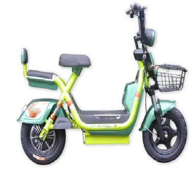 Luxury Electric Motorcycle Bike for Adults