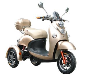 Electric Bike Electric Motor Trike Scooter