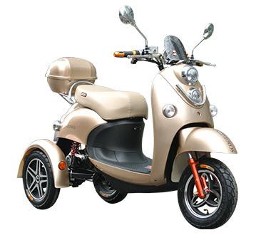 Electric Bike Electric Motor Trike Scooter