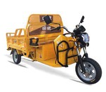 Electric Cargo Tricycle Motorized Trike