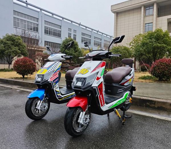 Electric Motorcycle For Adult
