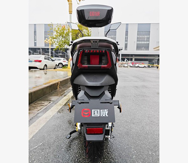 Electric Motorcycle For Adult