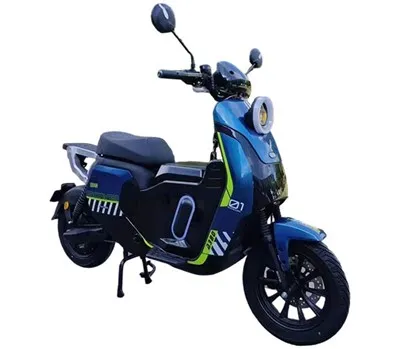 Electric Motorcycle For Delivery