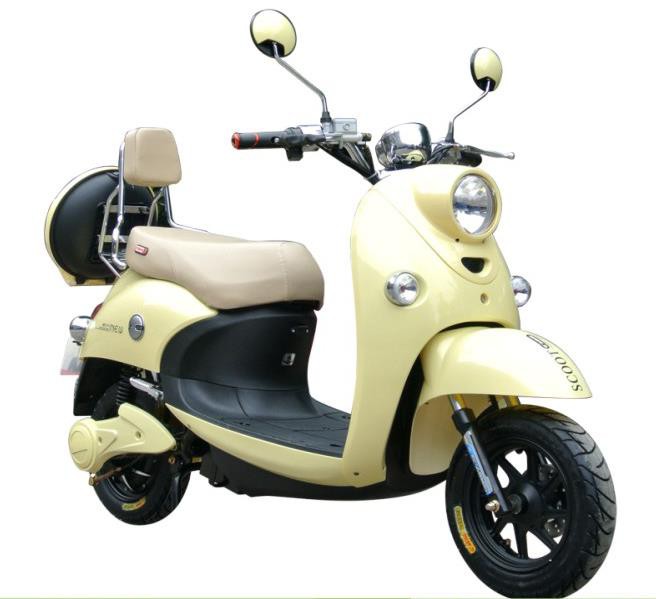 Passenger Electric Scooter