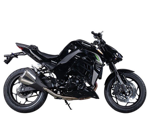 Electric Sport Motorcycle