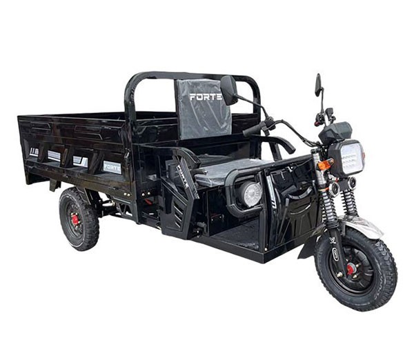 Electric Transportation Tricycle