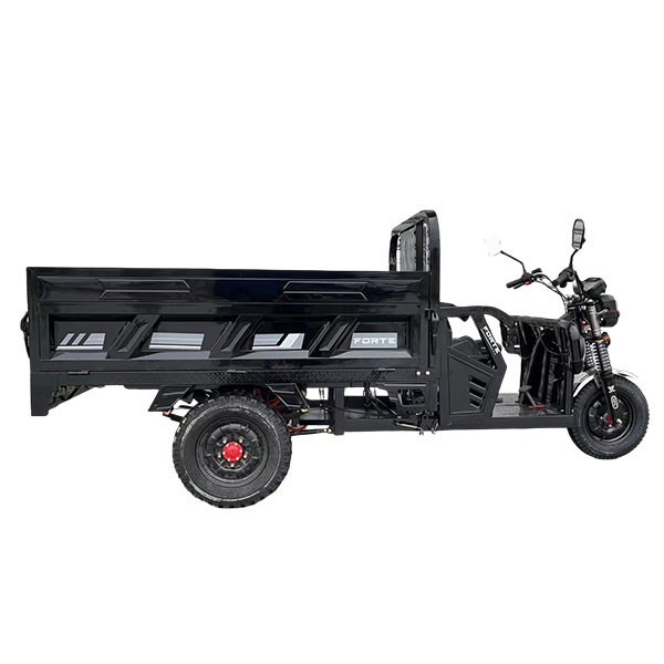Electric Transportation Tricycle