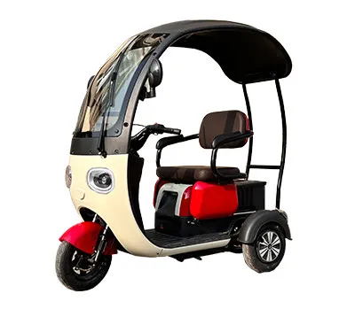 Electric Tricycle With Shed