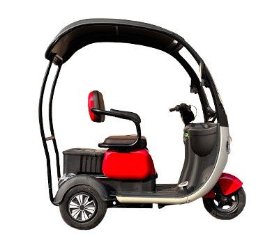 Electric Tricycle With Shed