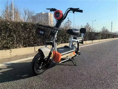 Factory Direct Sale Promotional Gas Powered Gas Scooters Two Wheeler Scooters Electric Motorcycle