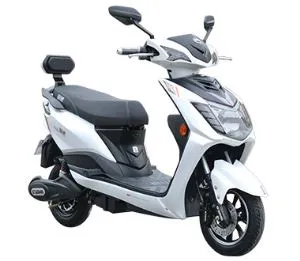 Fast Electric Scooter Portable