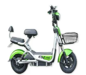 Lead Acid Electric Bike Electric Cargo Bikes
