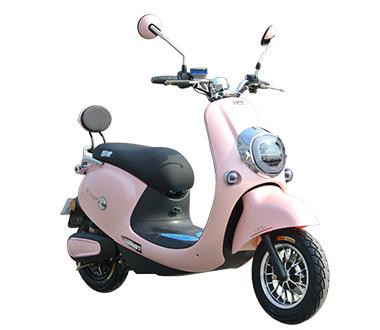 New Power Affordable Electric Scooter