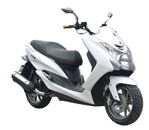 Off Road Scooters For Adults