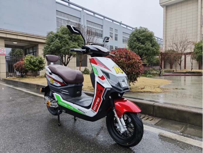 Adult electric scooter