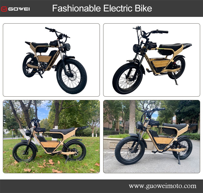 Fashionable Electric Bike Fashionable Electric Bike