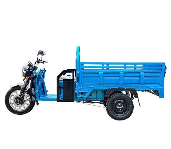 Electric Trikes for Adult